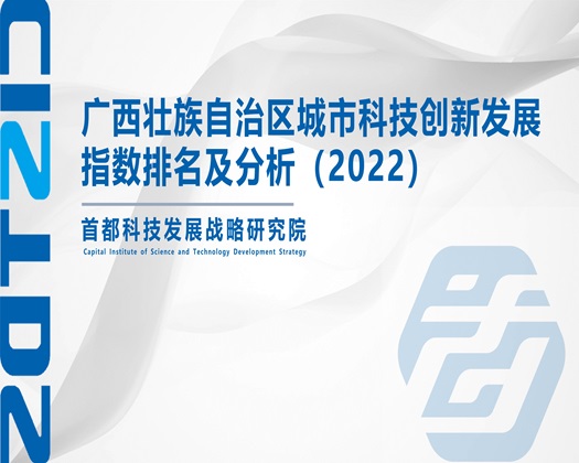 啊…嗯不要要高潮了网站【成果发布】广西壮族自治区城市科技创新发展指数排名及分析（2022）